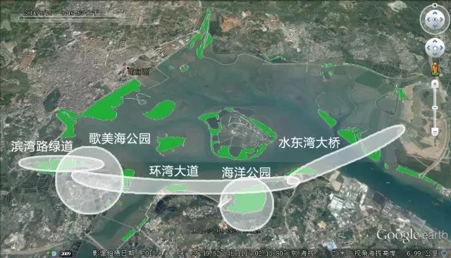 绿色部分代表有红树林分布的区域 白色为项目施工区域 数据来源：CMCN